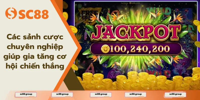 Các sảnh cược chuyên nghiệp giúp gia tăng cơ hội chiến thắng