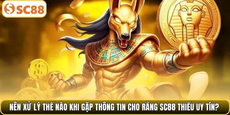 Nên xử lý thế nào khi gặp thông tin cho rằng SC88 thiếu uy tín?
